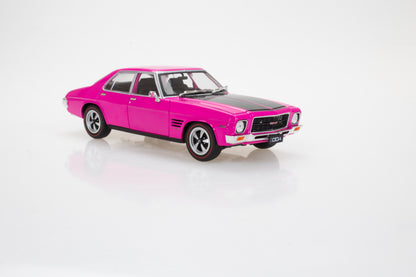 DDAMS24 - 1:24 Pink HQ Monaro Sealed Body